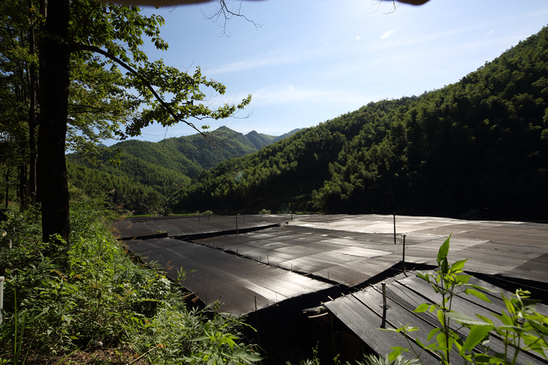 圖片1.png 圖片1.png